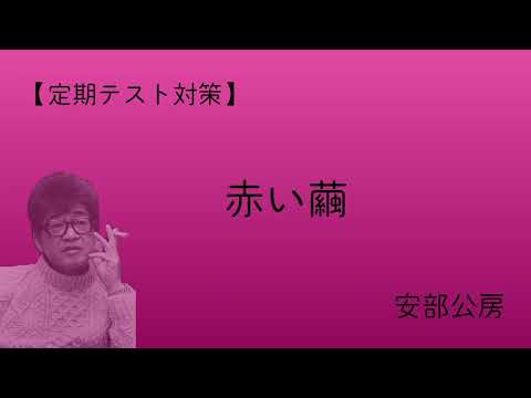 「赤い繭」安部公房【定期テスト対策】
