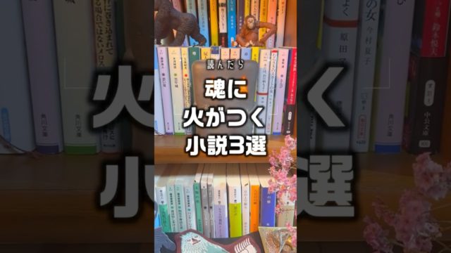 魂に火がつく小説3選【小説紹介】